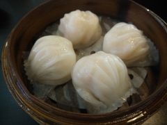 -添运来(茶园奥园广场店)