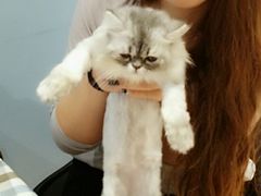 -藦茜花园宠物主题亲子互动体验馆(国顺东路店)