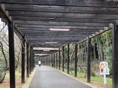 -九龙潭景区