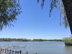 -白洋淀景区