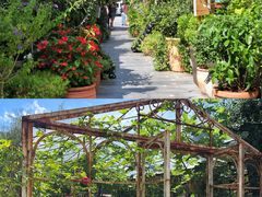 -The Grounds of Alexandria
