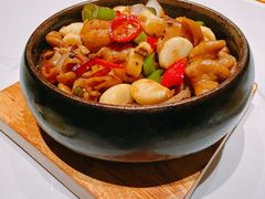 -阿露佳·舌尖上的安吉菜