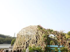 -深圳仙湖植物园