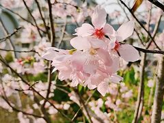 -乌山风景区