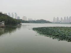 -月湖风景区