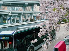 -南浦大桥长途旅游客运站