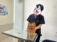 -爱妮康宠物医院·干细胞免疫细胞·肿瘤·心脏(张江店)