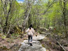 -叠溪松坪沟景区