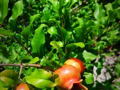 -齐白石旧居纪念馆