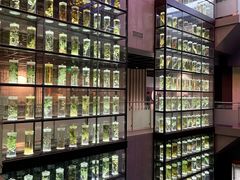 -广东中医药博物馆