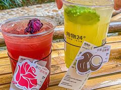 -炖物24章·顺时轻养茶(杭州大厦店)