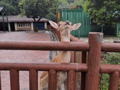 -无锡动物园·太湖欢乐园