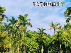 -中国科学院西双版纳热带植物园