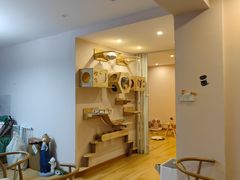 -猫咪派对(江南西店)