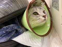 -美联众合24小时·皮肤科·外科·全科诊疗中心(华苑分院)
