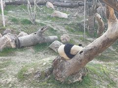 -宁波野生动物园
