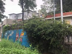 -风车面包