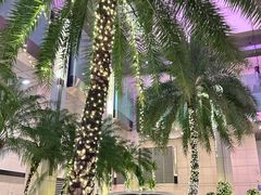 -深圳福田香格里拉大酒店