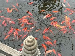-红螺寺