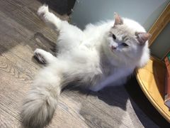 -小时光咖啡馆(开森度假森林店)