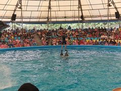 -尼莫海豚馆