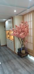 -茉秀必瘦站