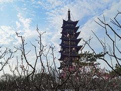 -上海方塔园
