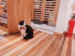 -猫的天空之城概念书店(杭州南宋御街店)