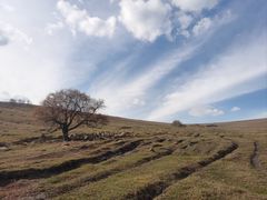 -克什克腾世界地质公园青山景区