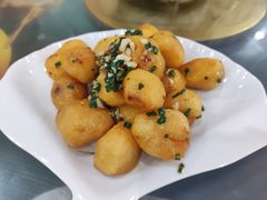 -谭家菜农夫山庄