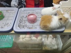 -三旗百汇商品城