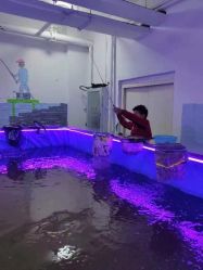 -巡鱼道·室内垂钓·渔具店