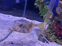 -太平洋海底世界