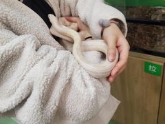 -藦茜花园宠物主题亲子互动体验馆(国顺东路店)