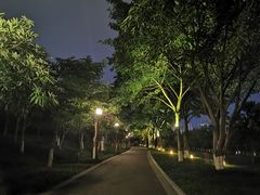 -眉山湿地公园(东坡区)