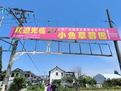 -小鱼草莓采摘园农家乐·小鱼餐厅