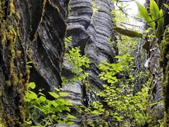 -梭布垭石林景区