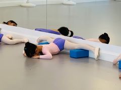 -芭蕾仙子 FairyBallet 少儿芭蕾舞蹈中心(丽都旗舰店)