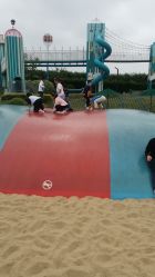 -季高兔窝窝亲子园(上海薰衣草公园店)