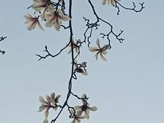 -宜家家居(高新商场店)