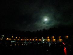 -武陵山森林公园