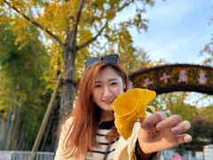-汇龙潭