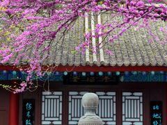 -万寿八仙宫