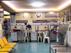 -动物缘宠物医院·骨科·猫科(西二环店)