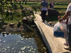 -南通洲际绿博园