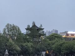 -武汉园博园(武汉自然博物馆)
