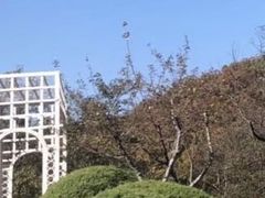 -棒棰岛宾馆景区