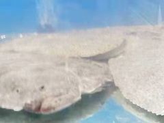 -晓伟海鲜家常菜