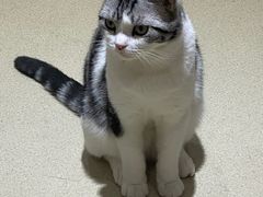 -藏猫猫咖啡主题馆(中央大道店)