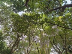 -湖泉半山温泉(湖泉生态园)